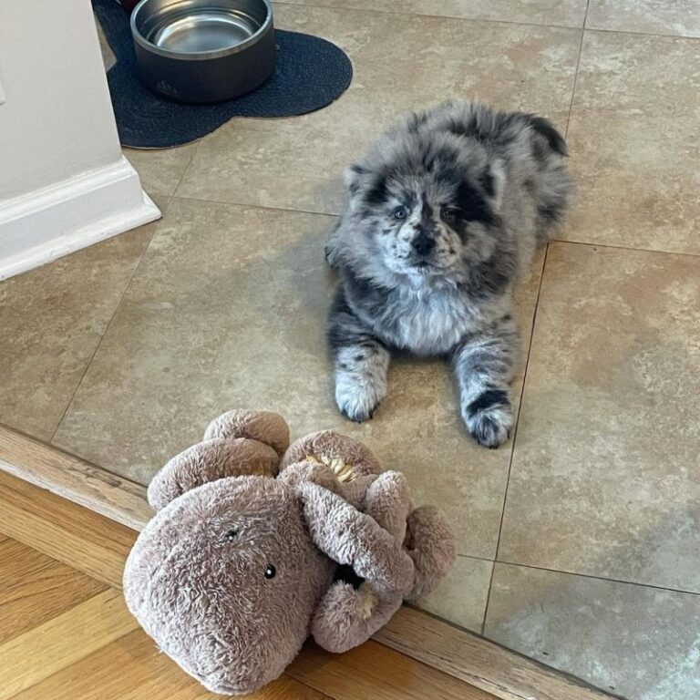 FIONNA-3-800x800-1-768x768